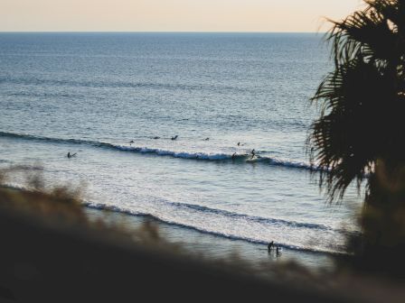 A coastal scene with gentle waves, surfers riding small breaks, and a palm-framed view as the sun begins to dip over the horizon.